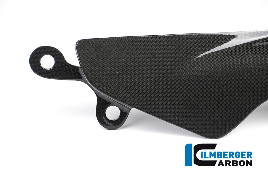Ilmberger Carbon Rear Sprocket Protector for the Ducati Monster 1200/S/R '14-16