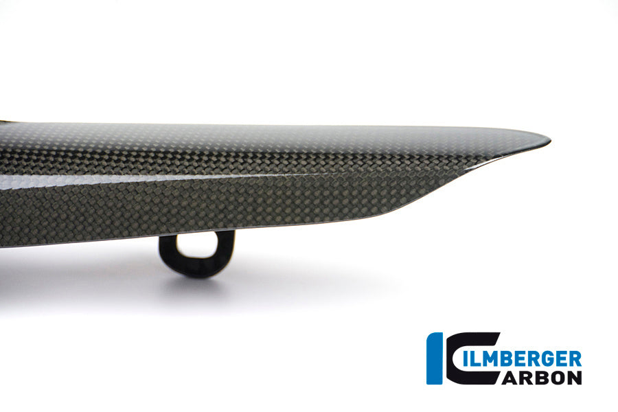 Ilmberger Carbon Rear Sprocket Protector for the Ducati Monster 1200/S/R '14-16