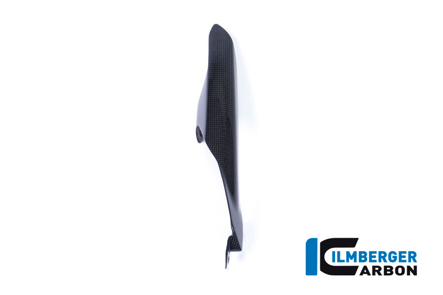 Ilmberger Carbon Chain Guard on the Swing Arm for the Ducati Monster 1200S '17, Supersport '17-22