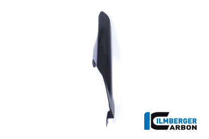 Ilmberger Carbon Chain Guard on the Swing Arm for the Ducati Monster 1200S '17, Supersport '17-22