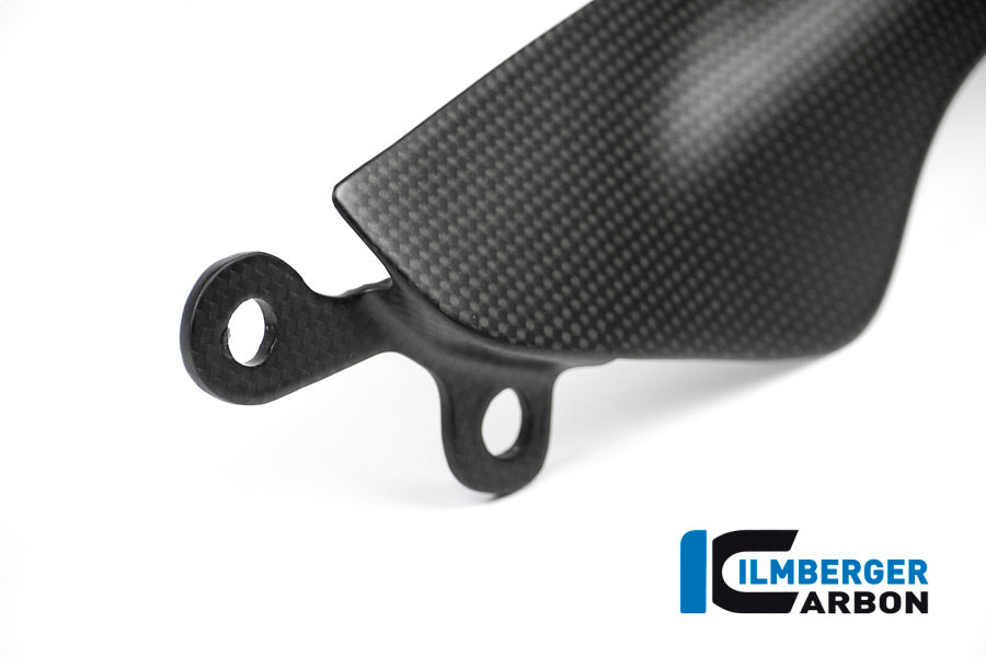 Ilmberger Carbon Rear Sprocket Protector for the Ducati Monster 1200/S/R '14-16