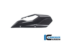 Ilmberger Carbon Chainguard/Swingarm Matt Surface for the Ducati Multistrada V4 / V4 S '20