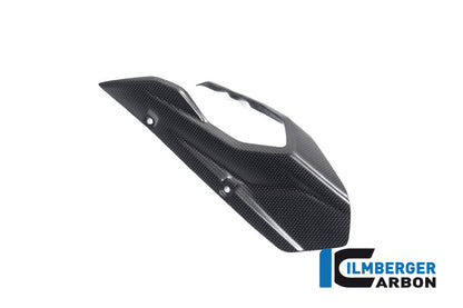 Ilmberger Carbon Chainguard/Swingarm Matt Surface for the Ducati Multistrada V4 / V4 S '20