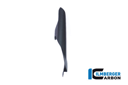 Ilmberger Carbon Chain Guard on the Swing Arm for the Ducati Monster 1200S '17, Supersport '17-22