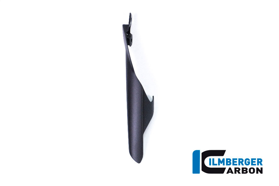 Ilmberger Carbon Chain Guard on the Swing Arm for the Ducati Monster 1200S '17, Supersport '17-22