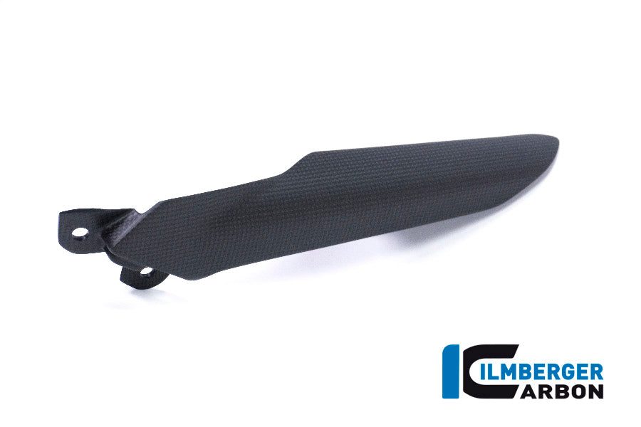 Ilmberger Carbon Chain Guard on the Swing Arm for the Ducati Monster 1200S '17, Supersport '17-22