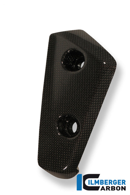 Ilmberger Carbon Wind Flap On Front Mudguard Right, for the Triumph Speed Triple '11-25
