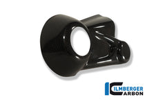 Ilmberger Carbon Bevel Drive Housing Protector for the BMW R 1200 S '06-08, R 1200 R '07-14, R 1200 GS '04-12, HP 2 Megamoto '08-13, HP 2 Sport '08-12, R Nine T/Racer '14-17, R Nine T Scrambler '2016