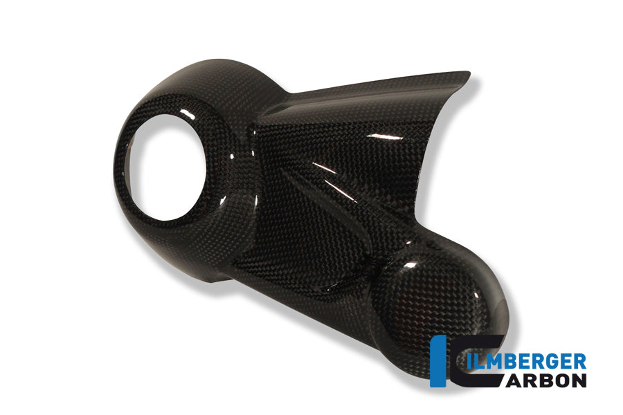 Ilmberger Carbon Bevel Drive Housing Protector for the BMW R 1200 S '06-08, R 1200 R '07-14, R 1200 GS '04-12, HP 2 Megamoto '08-13, HP 2 Sport '08-12, R Nine T/Racer '14-17, R Nine T Scrambler '2016