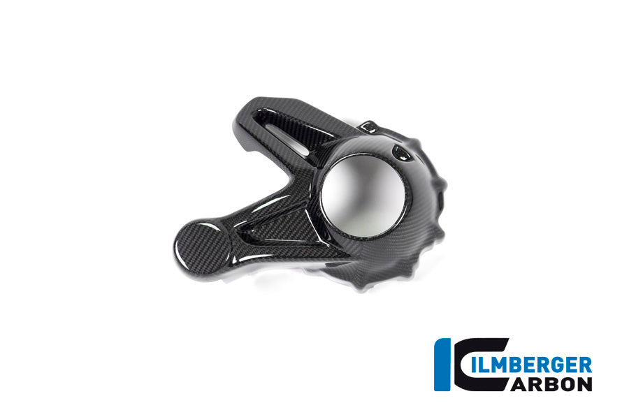 Ilmberger Carbon Bevel Drive Housing Protector (Mounting without Rear Splash Guard) for the BMW R 1250 GS / GS Adventure / R 1250 R 2019