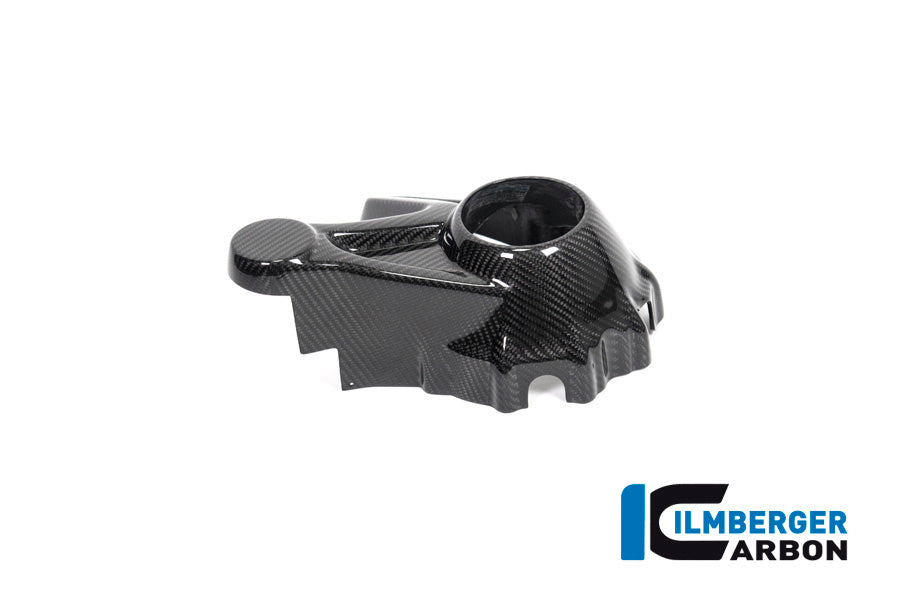 Ilmberger Carbon Bevel Drive Housing Protector (Mounting without Rear Splash Guard) for the BMW R 1250 GS / GS Adventure / R 1250 R 2019