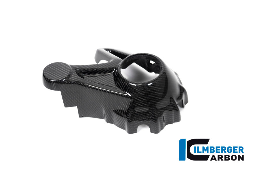 Ilmberger Carbon Bevel Drive Housing Protector (Mounting with Rear Splash Guard) for the BMW R 1250 GS / GS Adventure / R 1250 R 2019