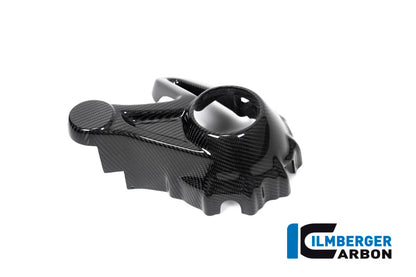 Ilmberger Carbon Bevel Drive Housing Protector (Mounting with Rear Splash Guard) for the BMW R 1250 GS / GS Adventure / R 1250 R 2019