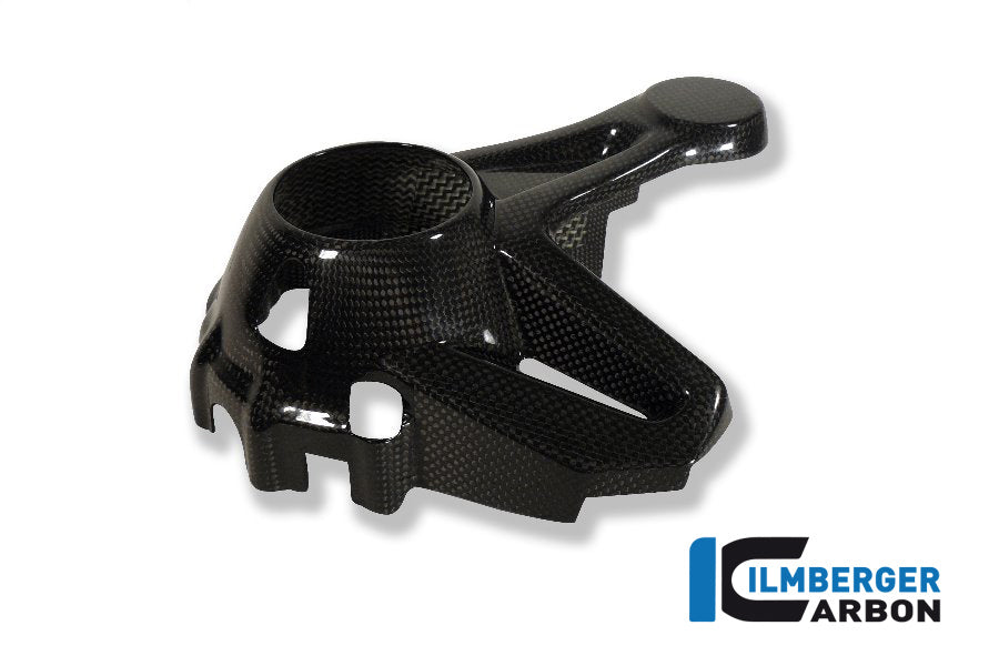 Ilmberger Carbon Bevel Drive Housing Protector, Carbon for the BMW R 1200 GS '13-17, R 1200 GS Adventure 2014
