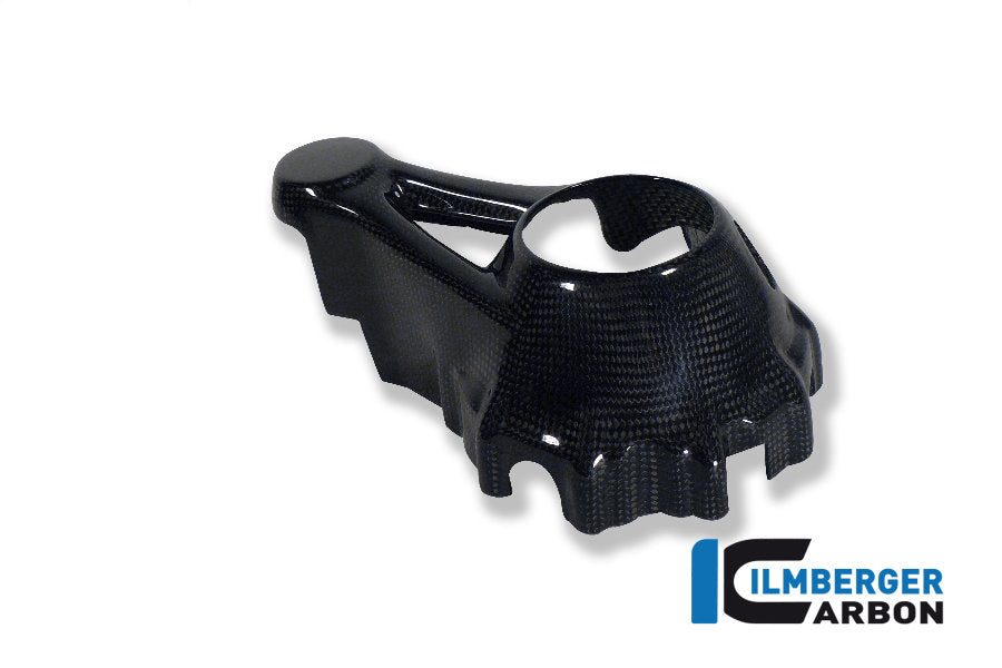 Ilmberger Carbon Bevel Drive Housing Protector, Carbon for the BMW R 1200 GS '13-17, R 1200 GS Adventure 2014