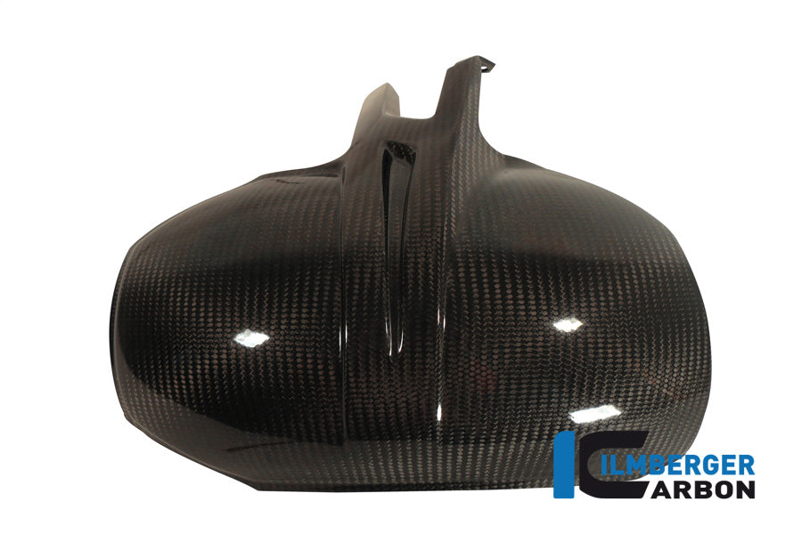 Ilmberger Carbon Rear Fander for the BMW C600 Sport '12-24