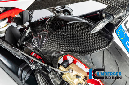 Ilmberger Carbon Rear Hugger, Carbon for the BMW R 1200 RS 2015-2017