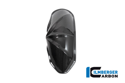 Ilmberger Carbon Rear Hugger for the BMW R 1250 R/RS 2019
