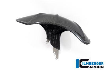 Ilmberger Carbon Rear Hugger for the BMW R 1250 R/RS 2019