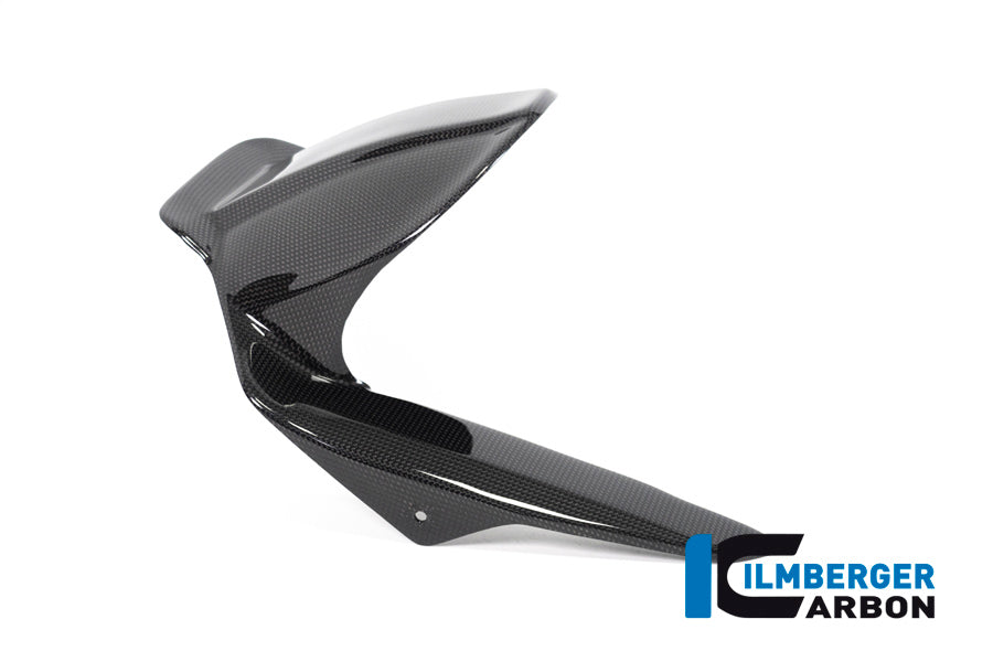 Ilmberger Carbon Rear Fender Surface for the Ducati Scrambler 1100 '17