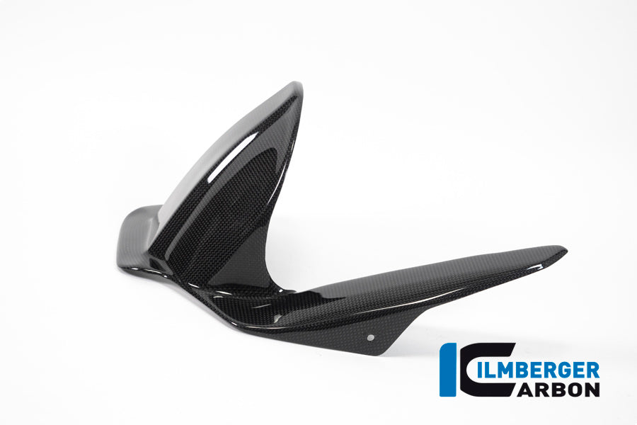 Ilmberger Carbon Rear Fender Surface for the Ducati Scrambler 1100 '17