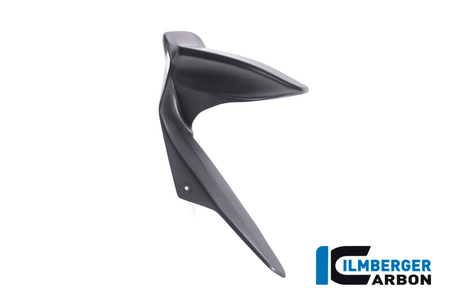 Ilmberger Carbon Rear Fender Surface for the Ducati Scrambler 1100 '17