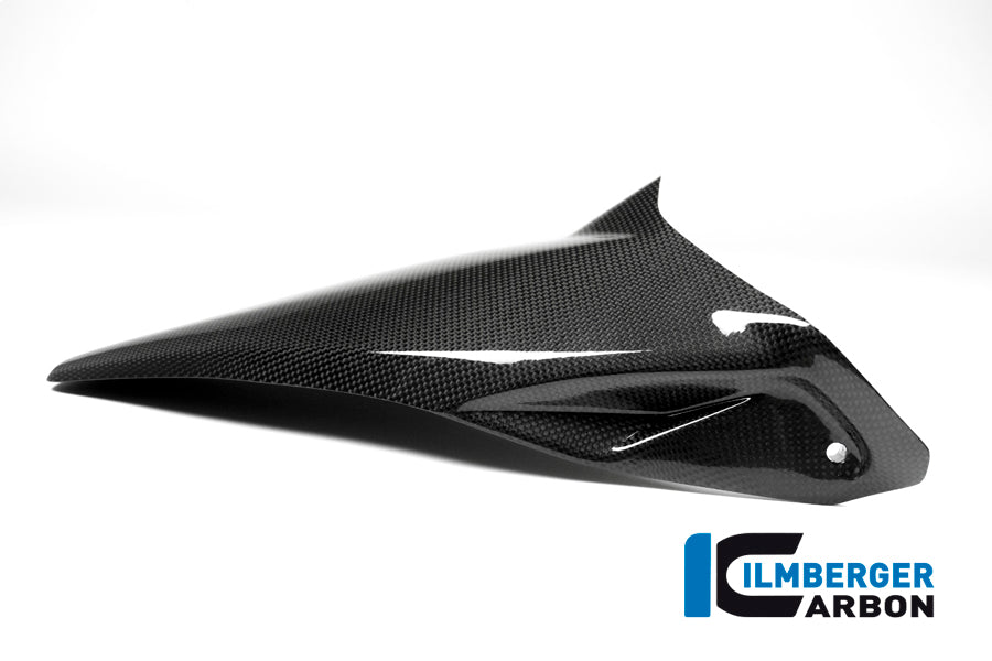 Ilmberger Carbon Rear Hugger for the Ducati Monster 1200 / 1200 S '14-16