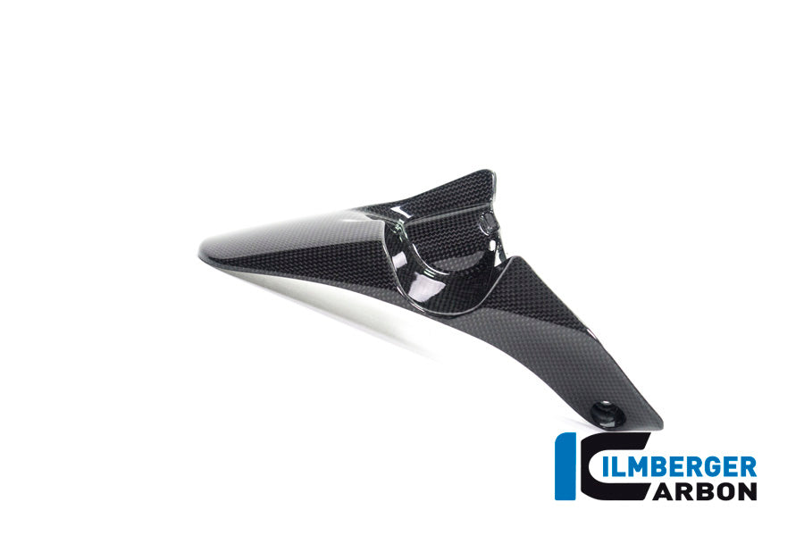 Ilmberger Carbon Rear Hugger for the Ducati Monster 1200S '14-16
