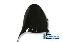Ilmberger Carbon Rear Hugger for the Ducati Monster 900 '91-06, Monster S2R '05-07, Monster S4R '03-05