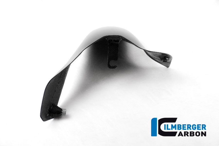 Ilmberger Carbon Rear Hugger for the Ducati Monster 1200 '14-16