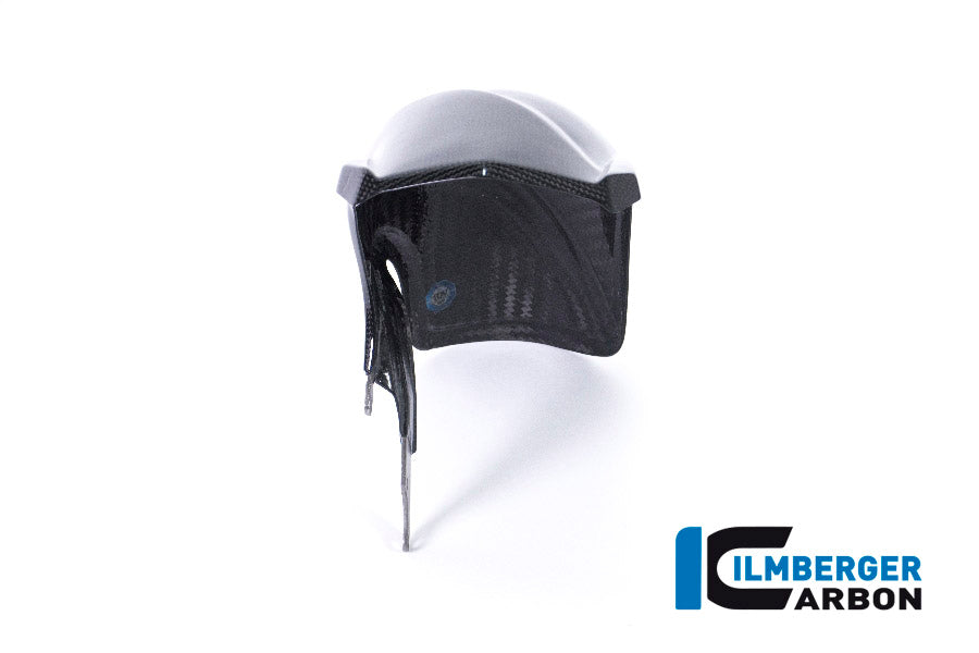 Ilmberger Carbon Rear Fender for the BMW R 1200 GS 2017, R 1200 GS Adventure 2014
