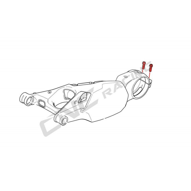 CNC Racing Titanium Swing Arm Pinch Bolt Kit for the Ducati Panigale / Streetfighter V4