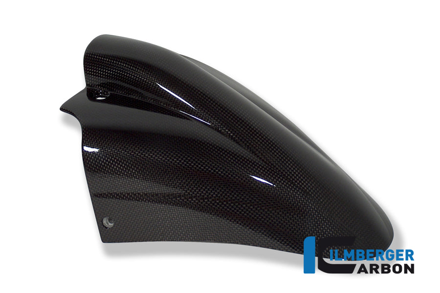 Ilmberger Carbon Front Mudguard, Carbon for the BMW R 1150 R 2002-2005
