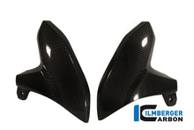 Ilmberger Carbon Front Mudguard for the BMW C600 Sport '12-24