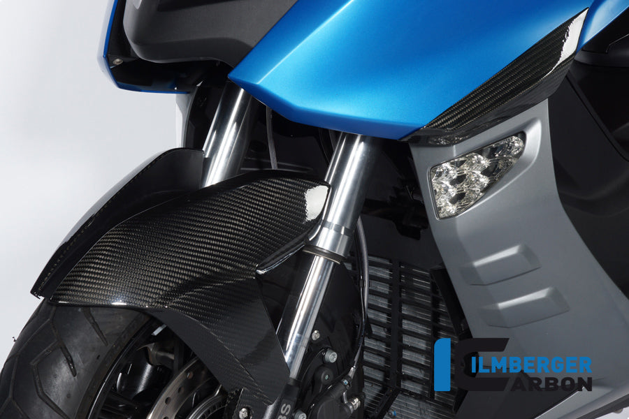 Ilmberger Carbon Front Mudguard for the BMW C600 Sport '12-24
