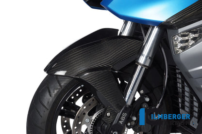 Ilmberger Carbon Front Mudguard for the BMW C600 Sport '12-24