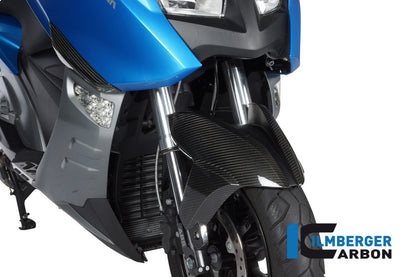 Ilmberger Carbon Front Mudguard for the BMW C600 Sport '12-24