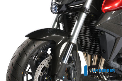 Ilmberger Carbon Front Mudguard for the Honda CB 1000 R '08