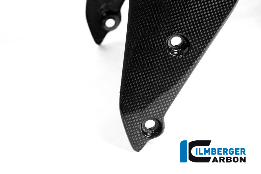 Ilmberger Carbon Front Mudguard for the Ducati Monster 1200 / 1200 S/R '14-17 / Monster 821 '14-17