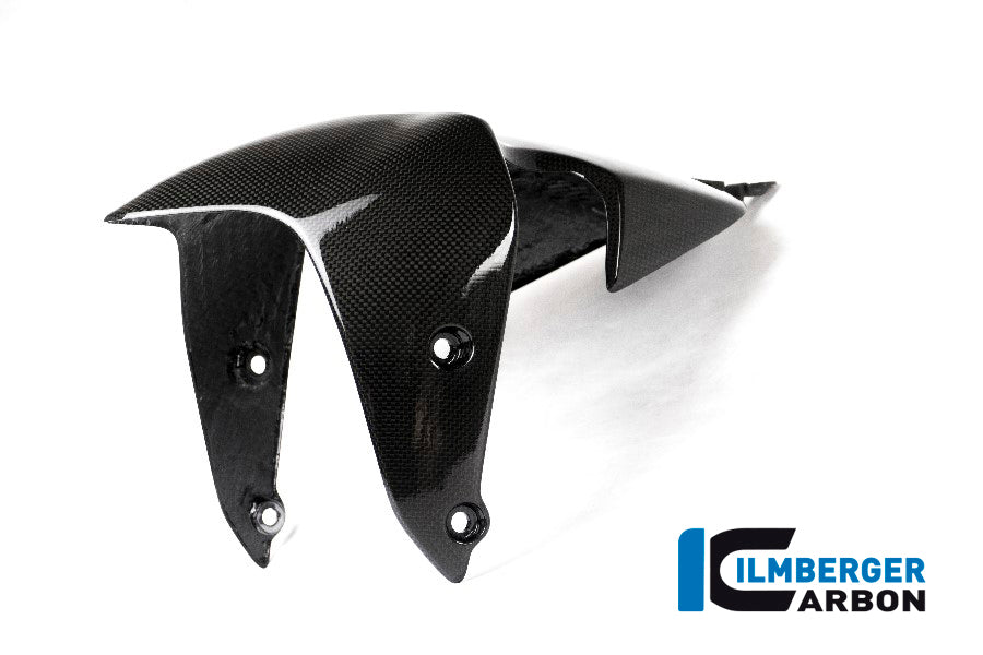 Ilmberger Carbon Front Mudguard for the Ducati Monster 1200 / 1200 S/R '14-17 / Monster 821 '14-17