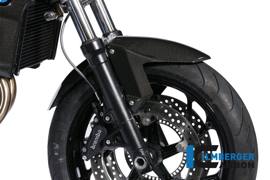 Ilmberger Carbon Front Mudguard, Carbon for the BMW F800 R '09-14, F800 GT '12-24
