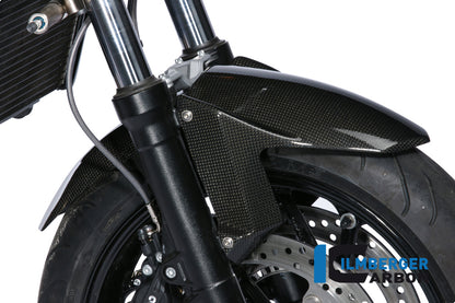 Ilmberger Carbon Front Mudguard, Carbon for the BMW F800 R '09-14, F800 GT '12-24