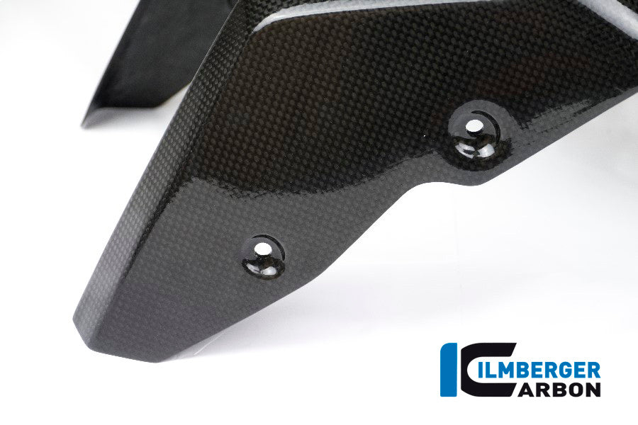 Ilmberger Carbon Front Mudgaurd carbon for the BMW R Nine T  2014-2017