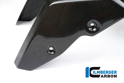 Ilmberger Carbon Front Mudgaurd carbon for the BMW R Nine T  2014-2017