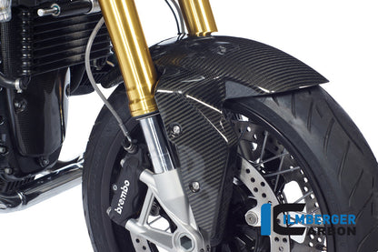 Ilmberger Carbon Front Mudgaurd carbon for the BMW R Nine T  2014-2017
