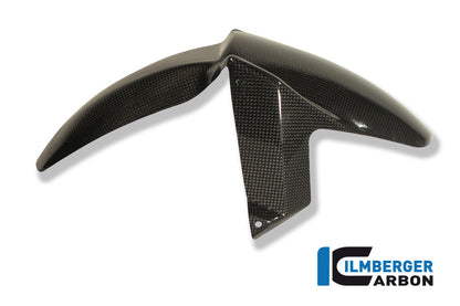 Ilmberger Carbon Front Mudguard, Carbon for the BMW F 800 S/ST 2006-2024