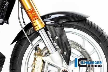 Ilmberger Carbon Front Fender for the BMW R 1250 R/RS 2019