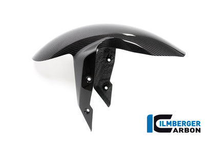 Ilmberger Carbon Front Fender for the BMW R 1250 R/RS 2019