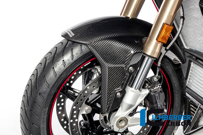 Ilmberger Carbon Front Mudguard, long version for the BMW S 1000 XR '20-24 / M 1000 XR '24