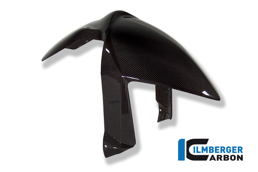 Ilmberger Carbon Front Mudgaurd carbon for the BMW R 1200 S 2006-2008